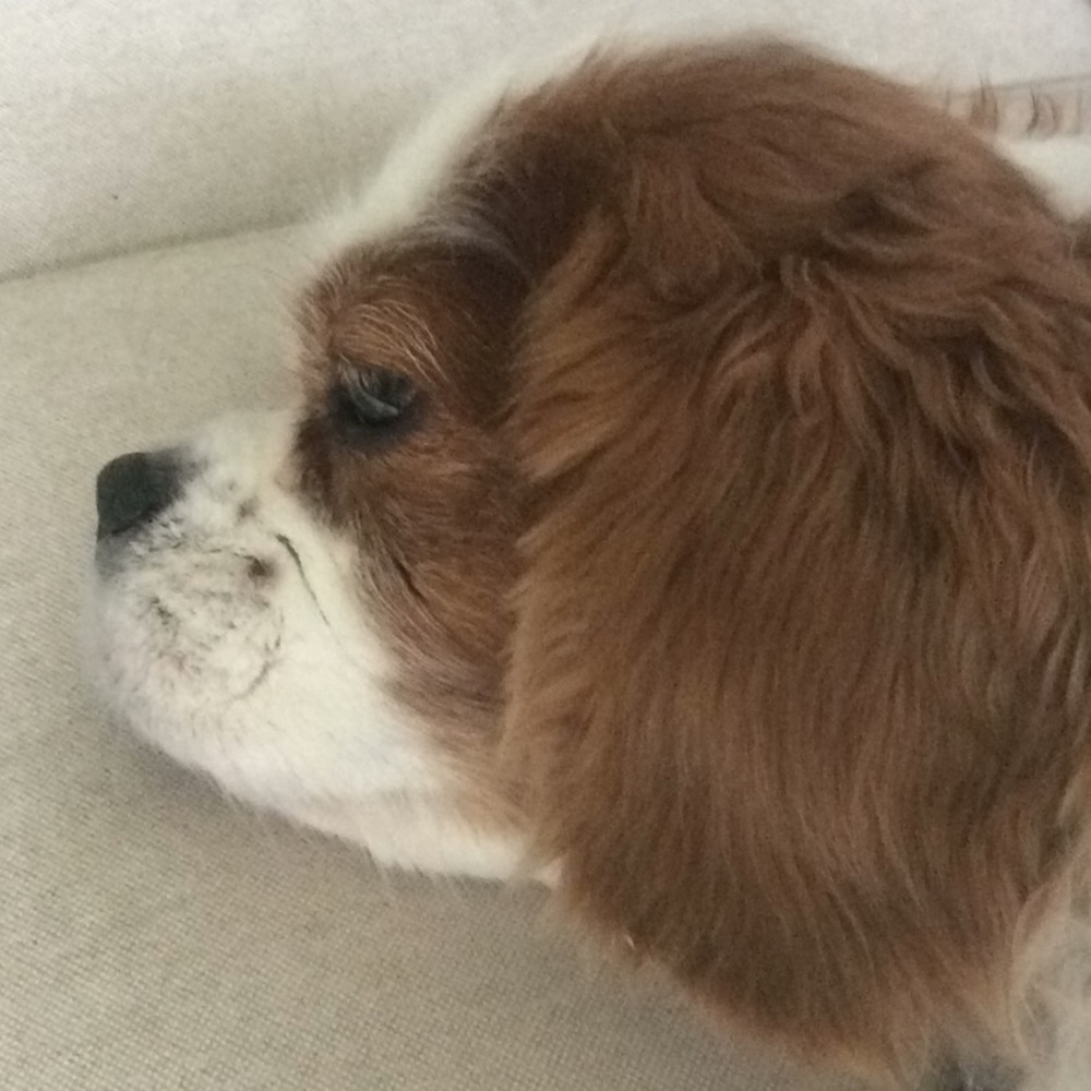 Meet your Posher, Katherine